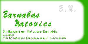 barnabas matovics business card